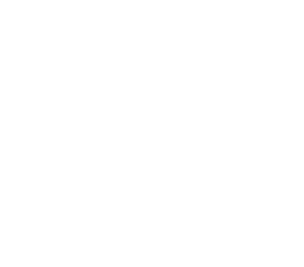 TELECOMS SOLUTIONS ENTREPRISES (TSE) logo