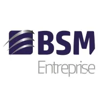 BSM ENTREPRISE logo