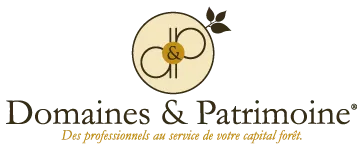 AQUILA PATRIMOINE logo