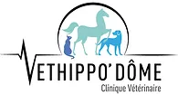 HIPPO'DOME logo