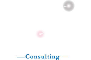 FIBER PRO CONSULTING logo