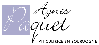 AGNES PAQUET logo