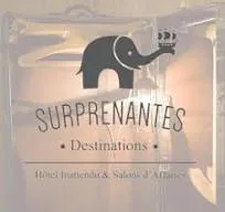 VOYAGE DESIRABLE (SURPRENANTES) logo