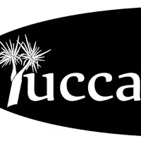Voici le logo de la marque YUCCA EDITIONS qui représente son identité graphique.