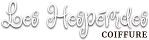 MORISOT NATHALIE logo