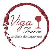 VIGA FRANCE logo