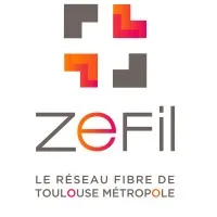RESEAUX D'INFRASTRUCTURES NUMERIQUES (SPL RIN) logo