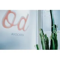 BD AVOCATES (BRUNET MOINS-DUROUCHOUX & ASSOCIEES) logo