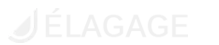 DELAHAIE JORDAN logo