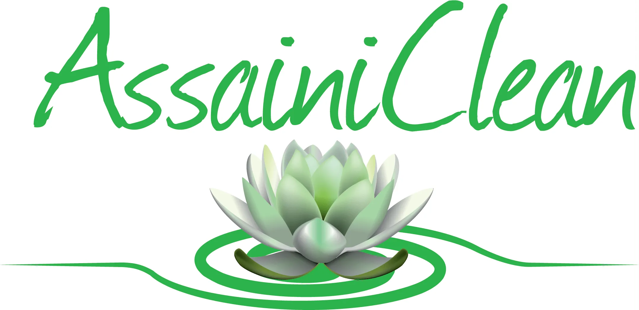 ASSAINICLEAN logo