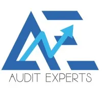 AUDIT EXPERTS logo