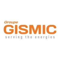 GROUPE GIS MIC logo