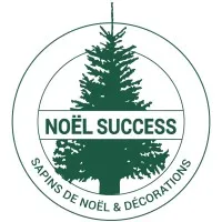 NOEL SUCCESS logo