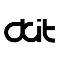 DIANE CONSULTING IT logo