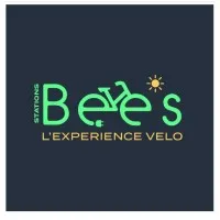 BEE SPHERE ENERGY logo