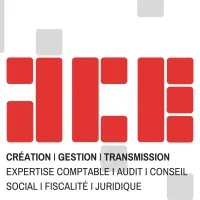 ANDRUEJOL CONSEILS AUX ENTREPRISES (A.C.E.) logo