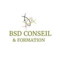 BSD CONSEIL logo