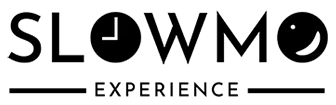 ROY VINCENT logo