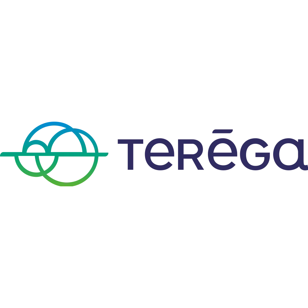 TEREGA HOLDING logo
