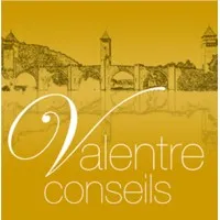 VALENTRE CONSEILS logo