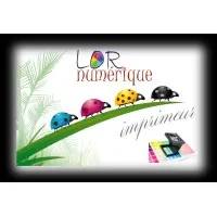 LOR'NUMERIQUE logo