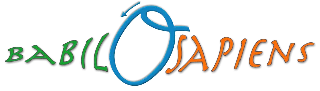 BAUDOIN DAVID logo