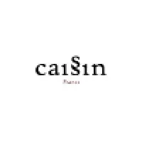CAISSIN logo