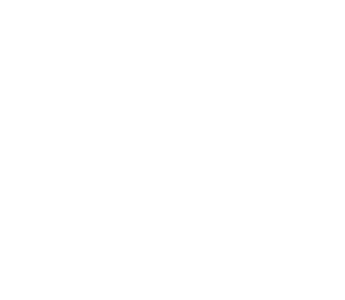 SOLUTIONS NUMERIQUES logo