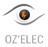 OZ'ELEC logo