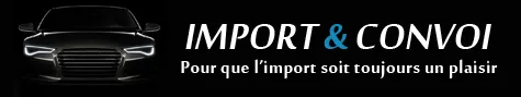 IMPORT ET CONVOI logo