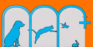 SCP DE VETERINAIRES CAMILLERI-CHENIN logo