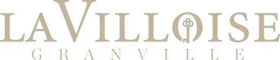 LA VILLOISE logo