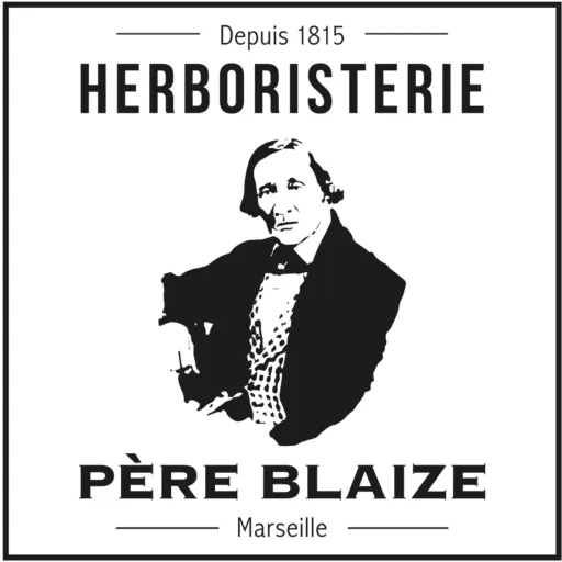 PHARMACIE PERE BLAIZE logo