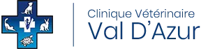 VAL D'AZUR logo