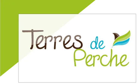 AGENCE DE COMMUNICATION IDSVIB logo