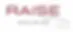LEMANPNEU.COM logo