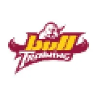 BULL TRAINING (BT) logo