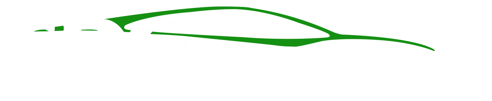 SDG CARROSSERIE logo