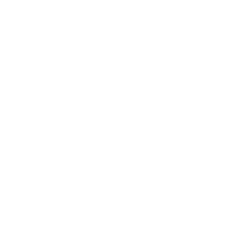 BERTHO PIERRE logo