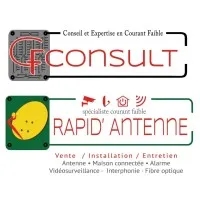 CF CONSULT logo