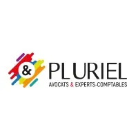 PIERRE CHAUMERON CONSEIL logo