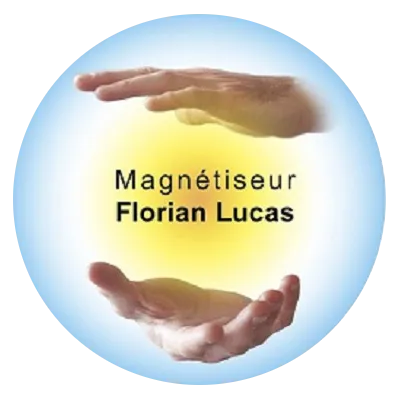 FLOMAGNETISME91 logo