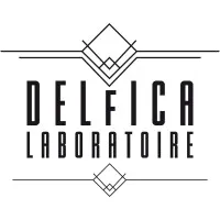 DELFICA logo