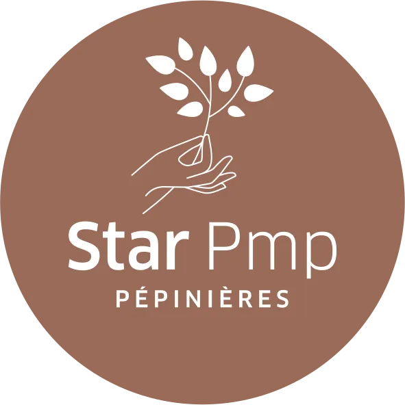 PLANT EXPORT logo