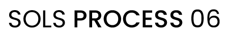 SOLS PROCESS 06 logo