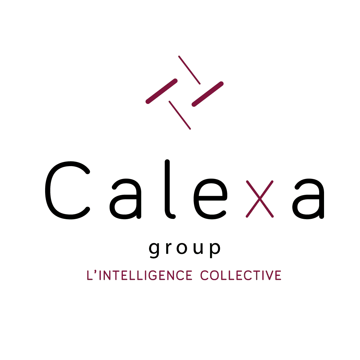 CALEXA GROUP logo