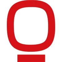 SOFT SYSTEMS GROUP logo