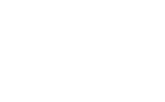SAGAIE CONSULTING logo