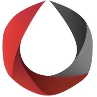 SAFIR INVEST logo
