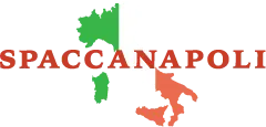 SPACCANAPOLI logo